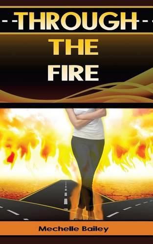 Cover image for Through the Fire