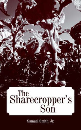 Cover image for The Sharecropper's Son