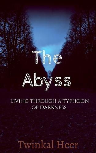 Cover image for The abyss