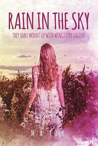 Cover image for Rain in the Sky