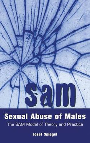 Cover image for Sexual Abuse of Males: The SAM Model of Theory and Practice