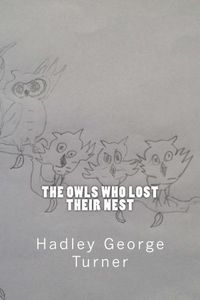 Cover image for The Owls Who Lost Their Nest