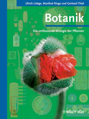 Cover image for Botanik - Die umfassende Biologie der Pflanzen