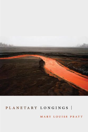 Cover image for Planetary Longings