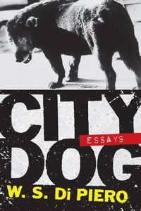 Cover image for City Dog: Essays