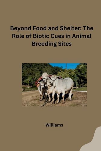 Beyond Food and Shelter