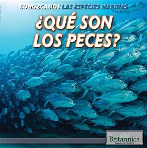 Cover image for ?Que Son Los Peces? (What Are Fish?)