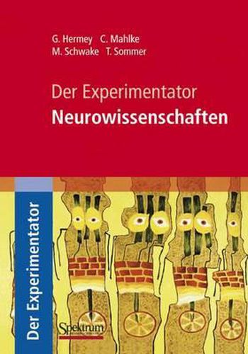 Cover image for Der Experimentator: Neurowissenschaften