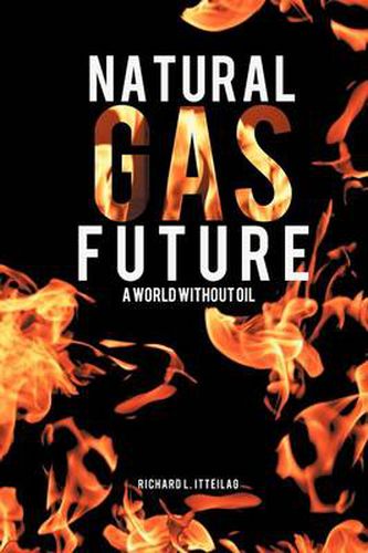 Cover image for Natural Gas Future