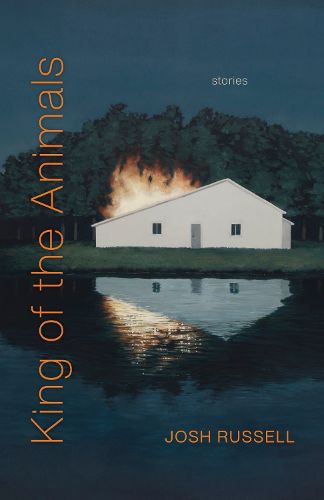 Cover image for King of the Animals: Stories