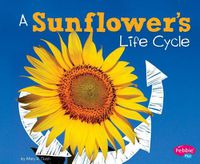 Cover image for A Sunflower's Life Cycle