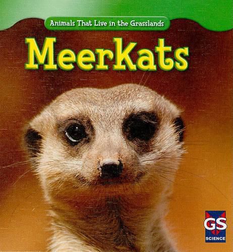 Cover image for Meerkats