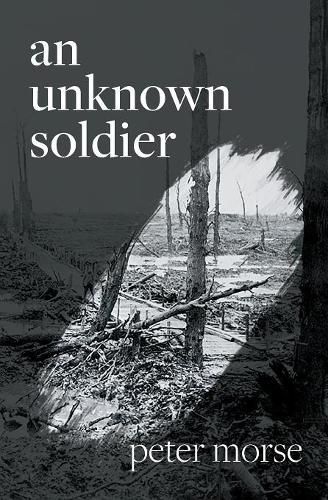 Cover image for An Unknown Soldier