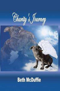 Cover image for Charity's Journey