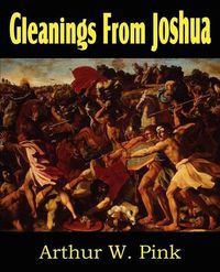 Cover image for Gleanings from Joshua