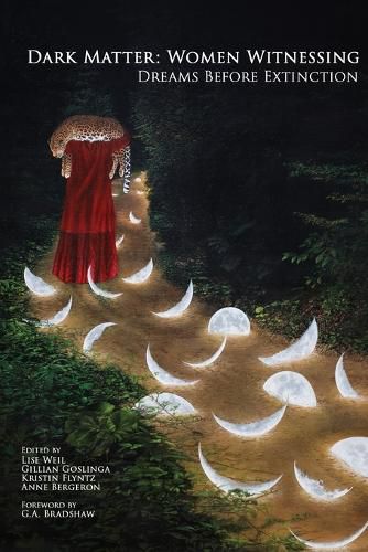 Cover image for Dark Matter