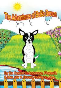 Cover image for The Adventures of Bebo