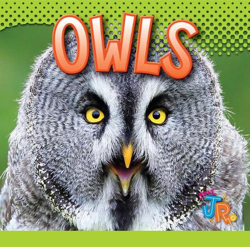 Cover image for Owls