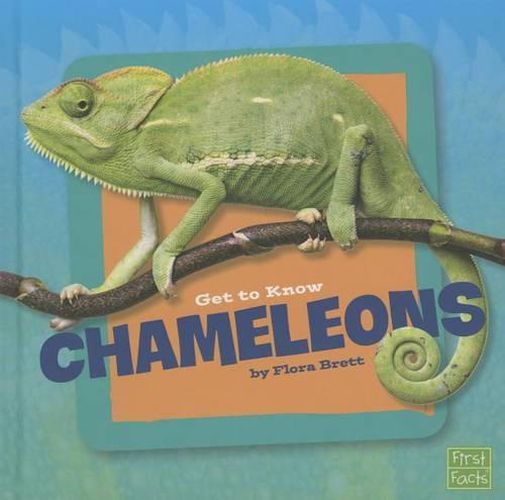 Cover image for Chameleons