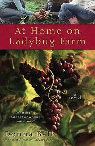 Cover image for At Home on Ladybug Farm