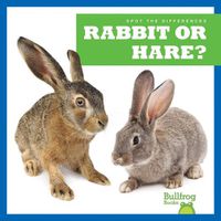 Cover image for Rabbit or Hare?