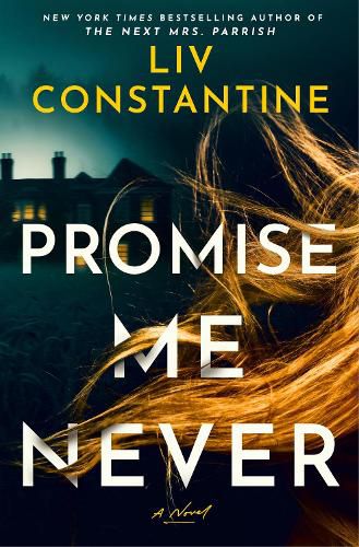 Cover image for Promise Me Never