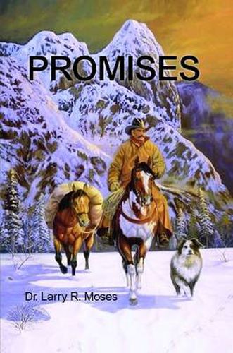 Cover image for Promises
