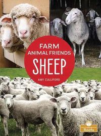 Cover image for Sheep