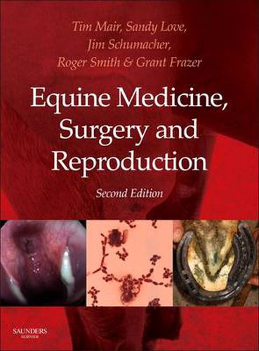 Equine Medicine, Surgery and Reproduction