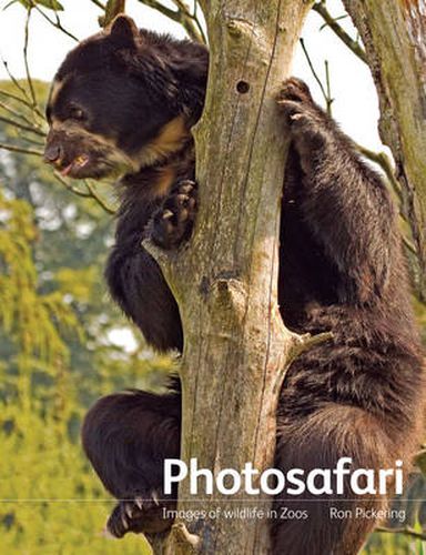 Cover image for Photosafari