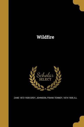 Cover image for Wildfire