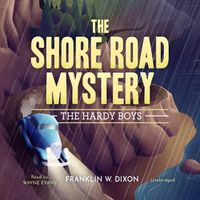 Cover image for The Shore Road Mystery