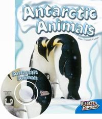 Cover image for Antarctic Animals