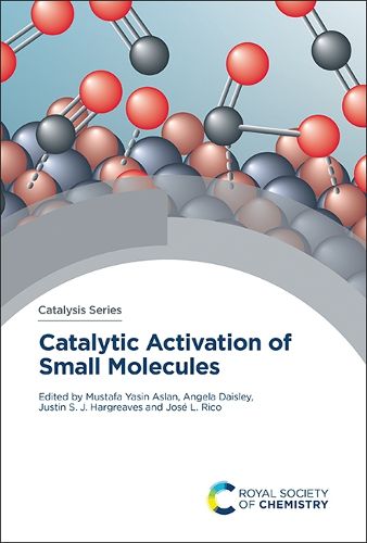 Cover image for Catalytic Activation of Small Molecules