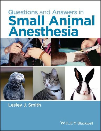 Cover image for Questions and Answers in Small Animal Anesthesia