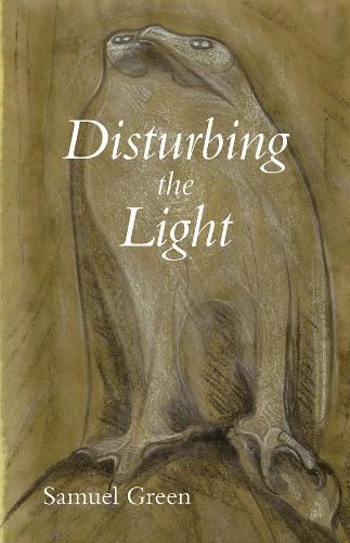 Cover image for Disturbing the Light