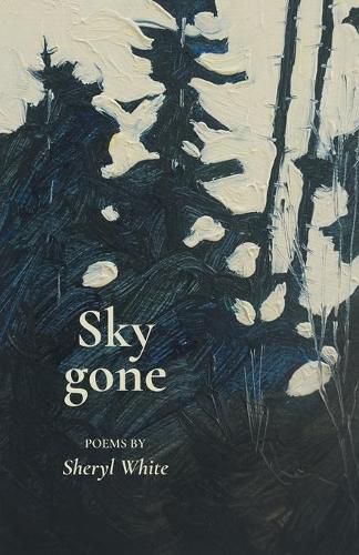 Cover image for Sky gone