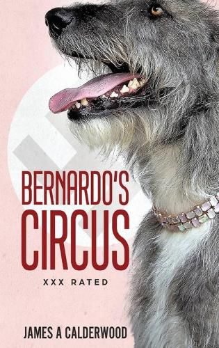 Cover image for Bernado's Circus