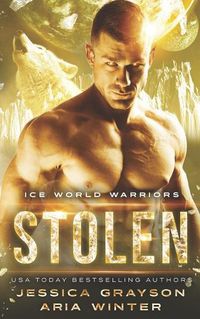 Cover image for Stolen