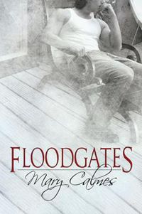 Cover image for Floodgates