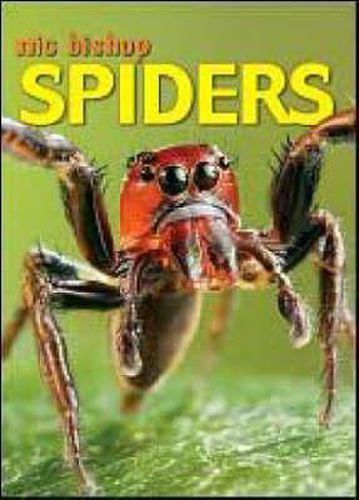 Cover image for Spiders