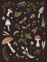 Cover image for Mushroom Lined Journal