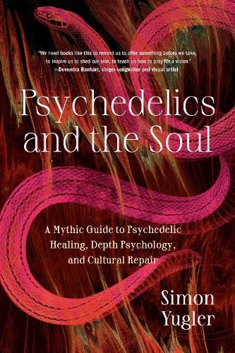 Cover image for Psychedelics and the Soul