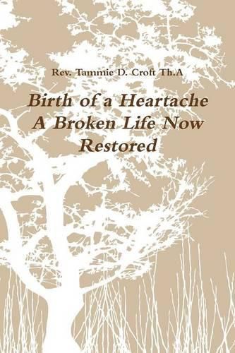 Cover image for Birth of a Heartache A Broken Life Now Restored