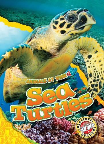 Cover image for Sea Turtles