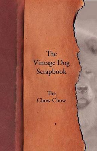 Cover image for The Vintage Dog Scrapbook - The Chow Chow