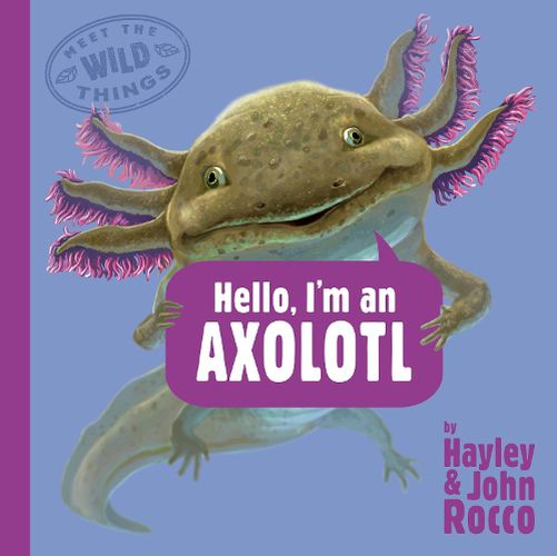 Cover image for Hello, I'm an Axolotl (Meet the Wild Things, Book 4)