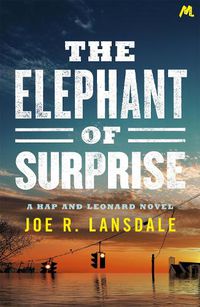 Cover image for The Elephant of Surprise