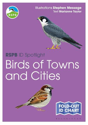 Cover image for RSPB ID Spotlight - Birds of Towns and Cities