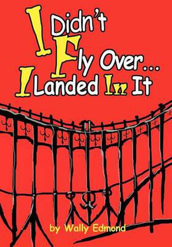 Cover image for I Didn't Fly Over... I Landed in It